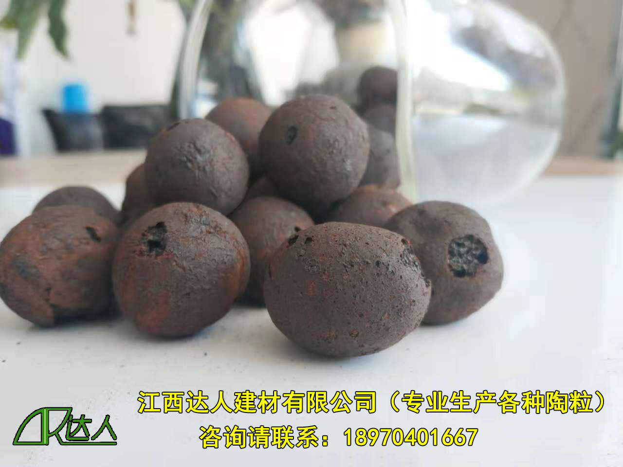 http://www.dljkcs.com