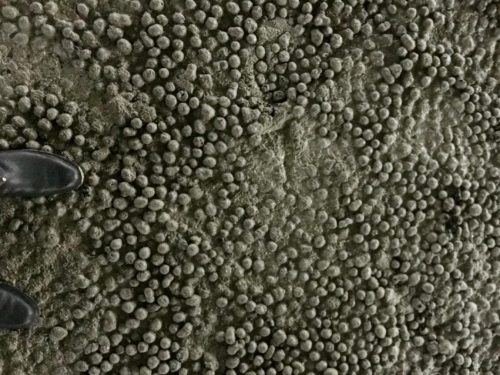 江西達(dá)人建材陶?;炷? title=